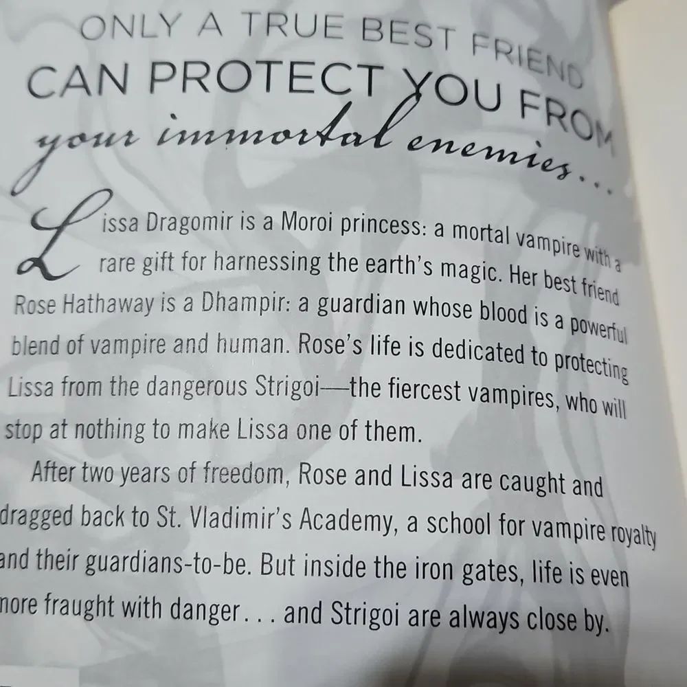Vampire Academy Book by Richelle Mead - Picture 4 of 7